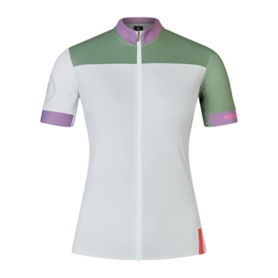Endura, Short Sleeve, CHROMA WMS FS260  S/S JERSEY MGY, Grösse: M, Farbe: grau