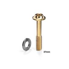 absoluteBLACK, Schraube, 1 Stück, für Flat Mount Caliper, Titanium, M5 x 37mm, Gold