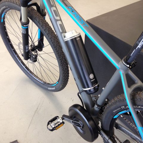 Focus Forest 650b